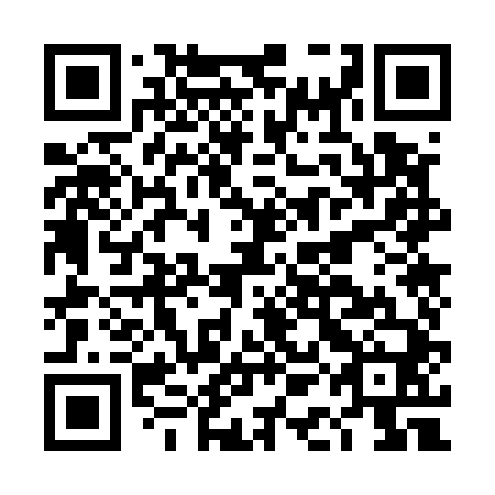 QR code for plate DAO 540