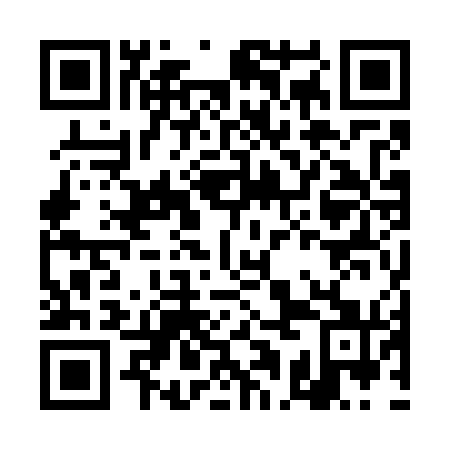 QR code for plate DAO 771