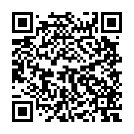 QR code for DAP049