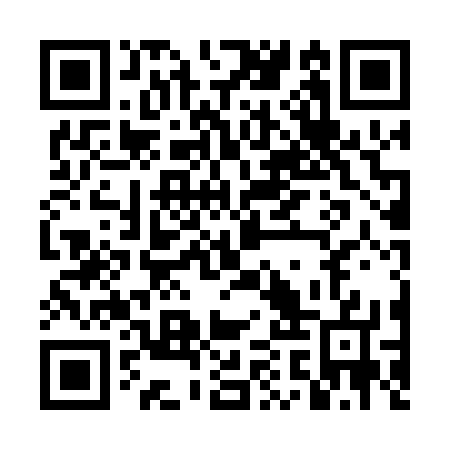 QR code for plate DAP 077
