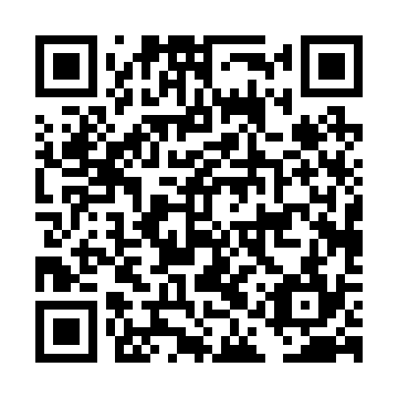 QR code for plate DAP 234