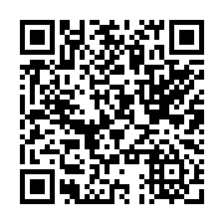 QR code for DAR 295