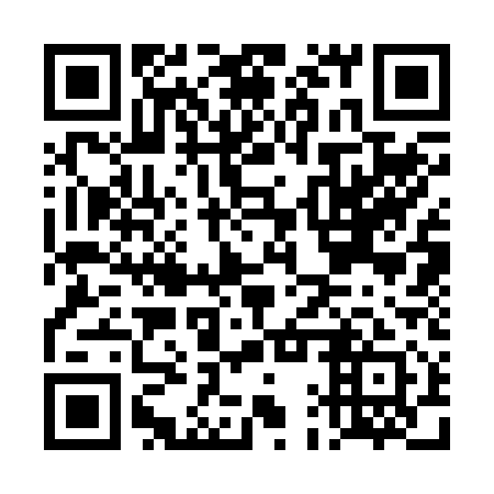 QR code for plate DAS 211