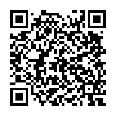 QR code for plate DAS 496