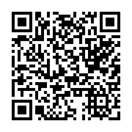 QR code for DAT 225