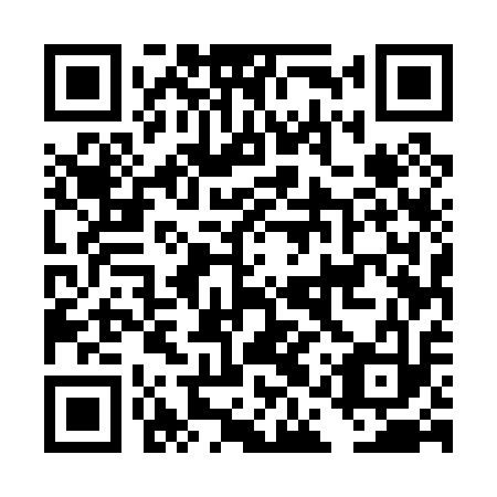QR code for plate DAU 013