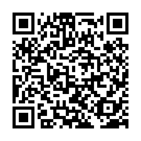 QR code for DAV 238