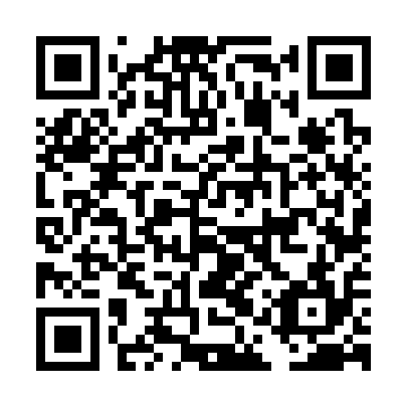 QR code for plate DAV 314
