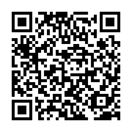 QR code for plate DAV 318