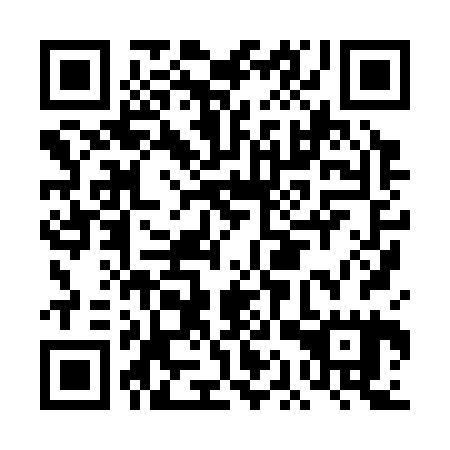 QR code for DAX 325