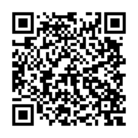 QR code for DAX 447