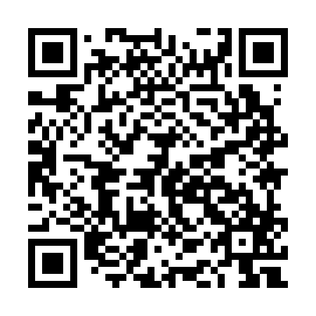 QR code for DAY 387