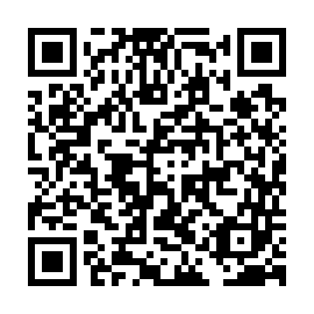 QR code for plate DAY 743