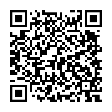 QR code for DAZ 493