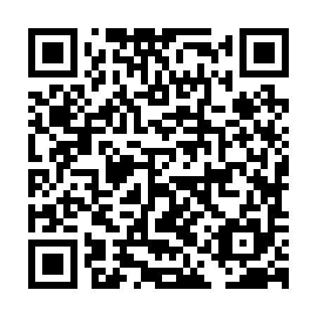 QR code for plate DAZ 295