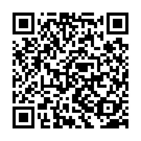 QR code for plate DBE 729