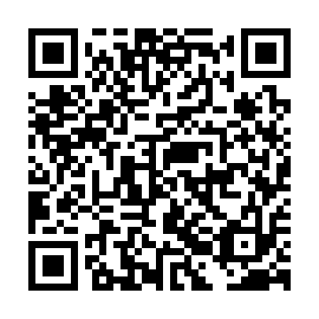 QR code for DBG 313