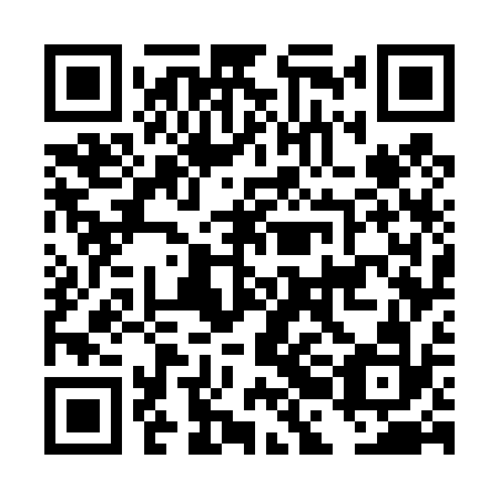 QR code for plate DBG 432