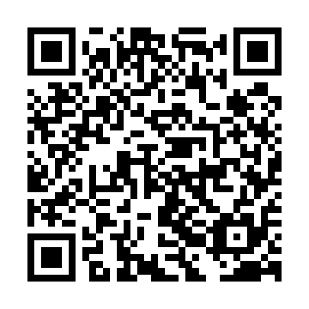 QR code for plate DBG 515