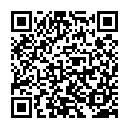QR code for plate DBG 540