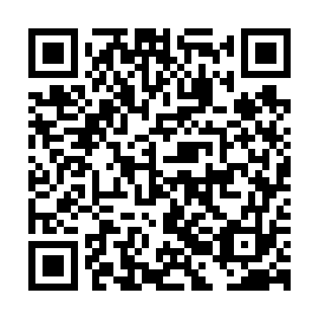 QR code for plate DBG 673