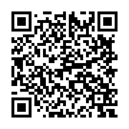 QR code for DBI 863