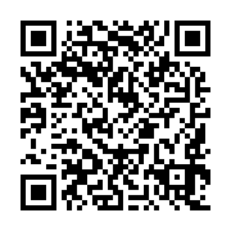QR code for DBI993