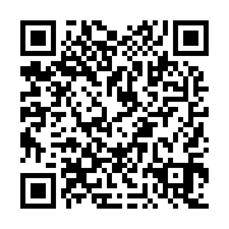QR code for plate DBJ 911