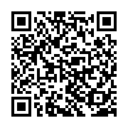 QR code for plate DBK 338