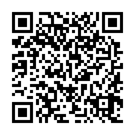 QR code for plate DBK 388