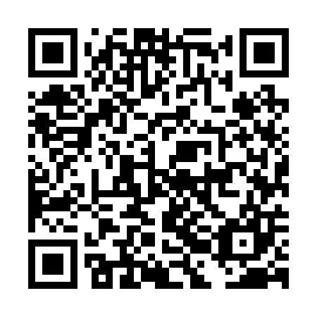 QR code for DBM 207