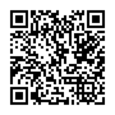 QR code for DBM383