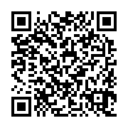 QR code for plate DBN 385