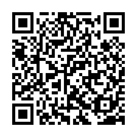 QR code for plate DBS 011