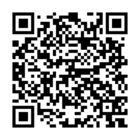 QR code for DBS533