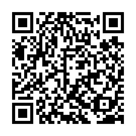 QR code for plate DBS 619