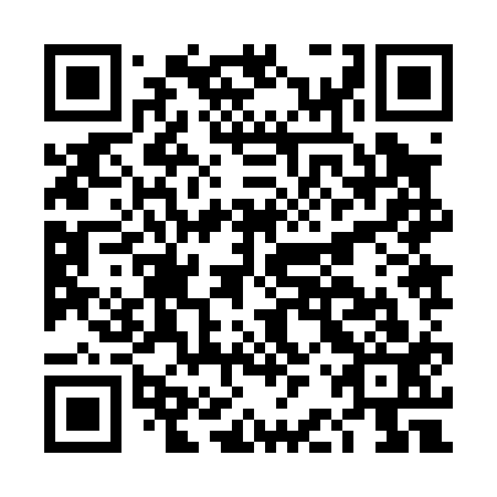 QR code for DBZ 013