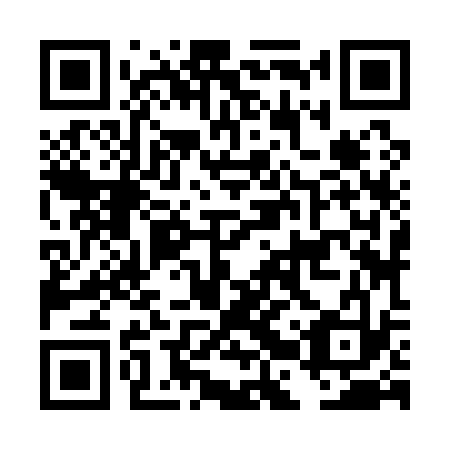 QR code for DBZ 133