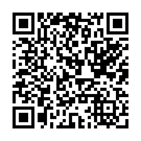 QR code for DBZ 220