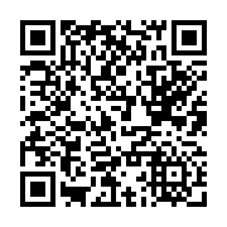 QR code for DBZ 376