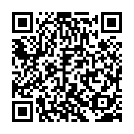 QR code for DBZ 838