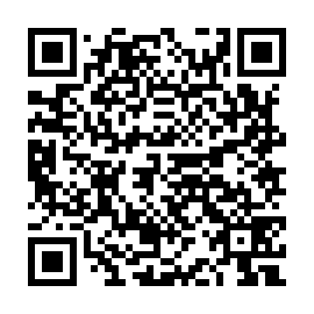 QR code for DBZ 979
