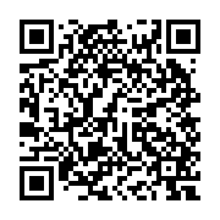 QR code for DCG 241