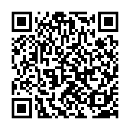 QR code for plate DCG 311