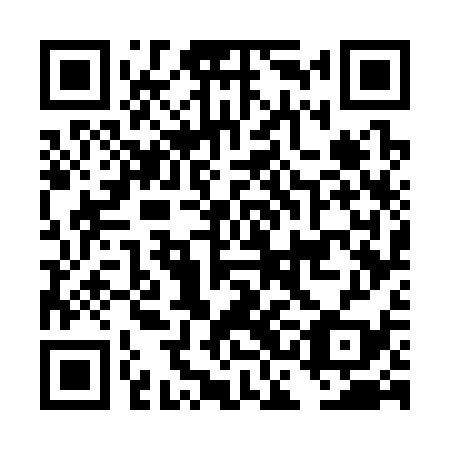 QR code for DCG339