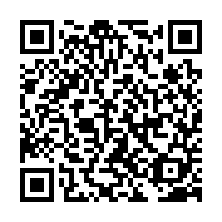 QR code for plate DCG 349
