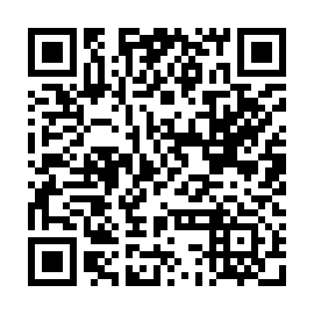QR code for plate DCI 913