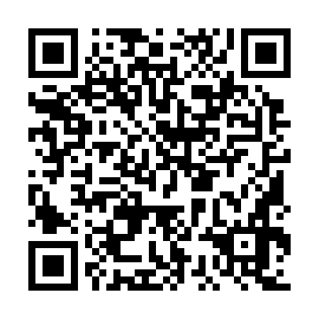 QR code for plate DCM 376