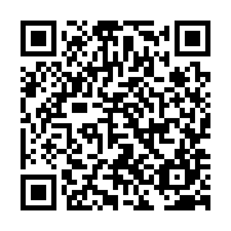 QR code for plate DCO 384
