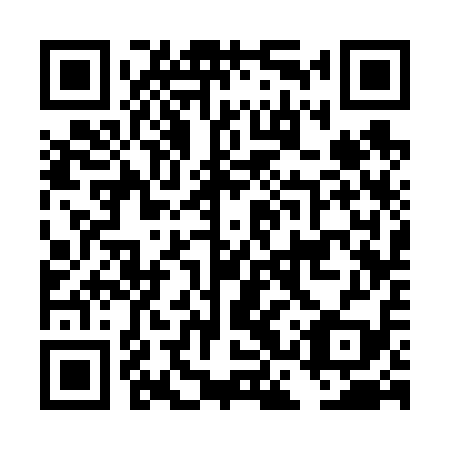 QR code for DCS 619